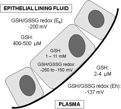 FIG. 11.