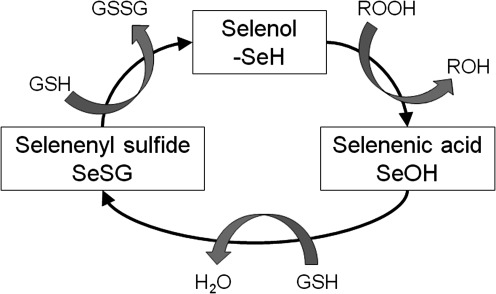 FIG. 14.