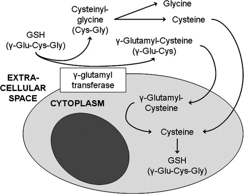 FIG. 6.