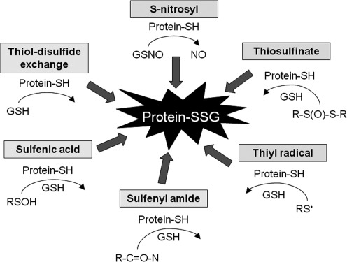 FIG. 9.