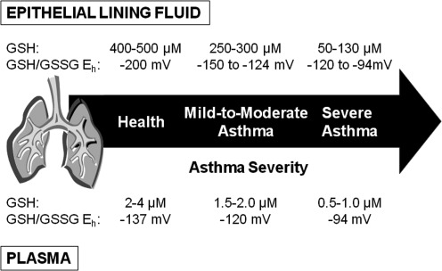 FIG. 12.