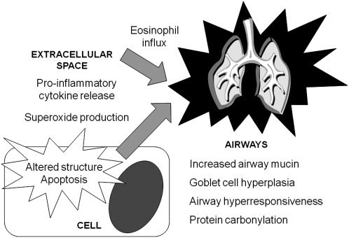 FIG. 13.