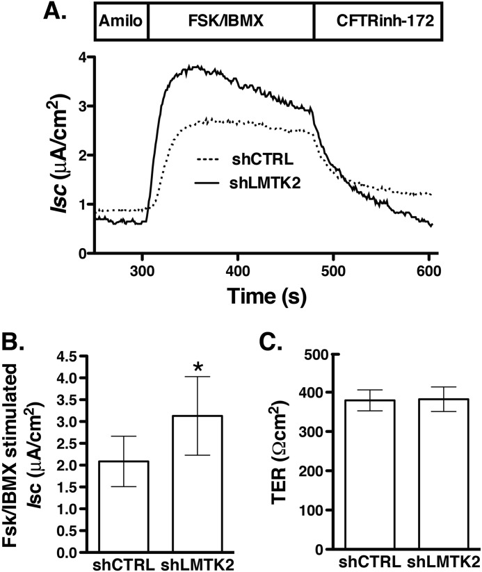 FIGURE 10.