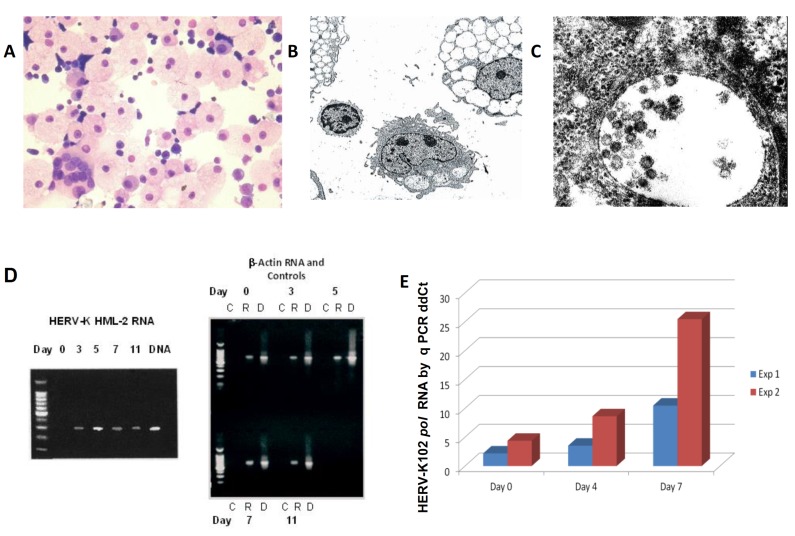 Fig. (1)