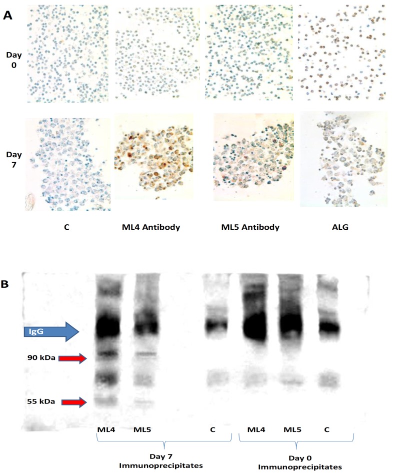 Fig. (2)