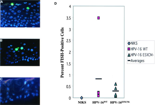 FIG. 6.