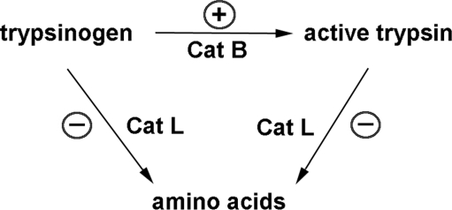 FIG. 7.