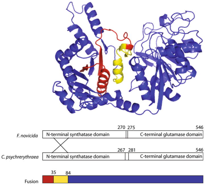 Fig. 3