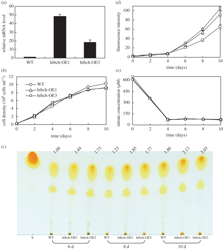 Figure 6.