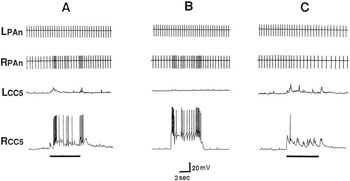 Fig. 11.