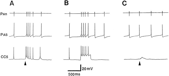 Fig. 10.