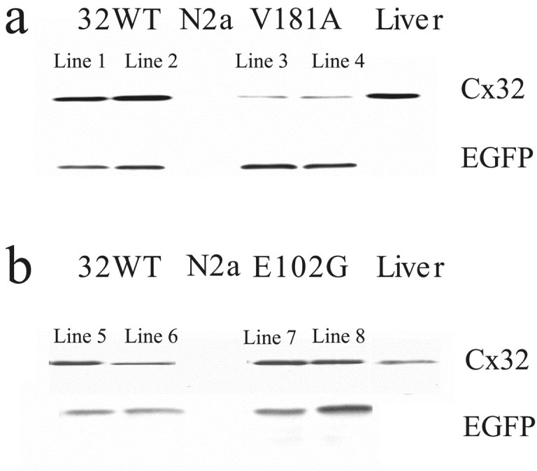 Figure 10.