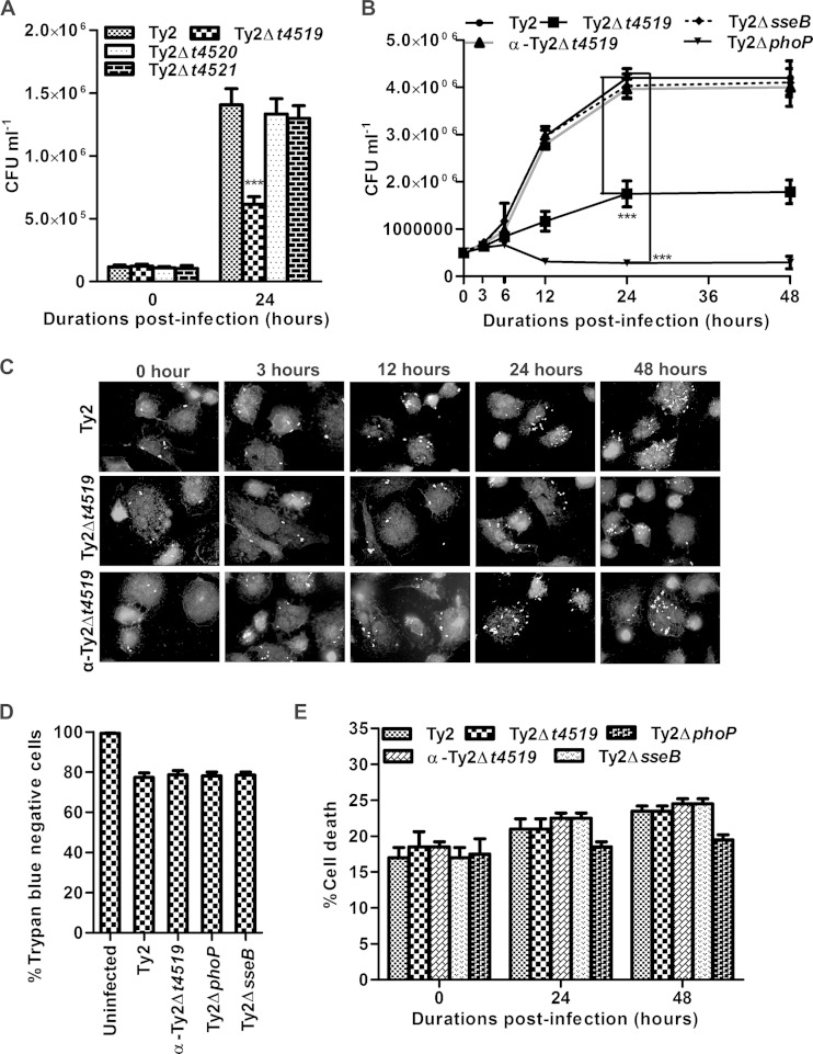 FIG 1