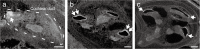 FIG. 9