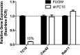 Figure 1—figure supplement 1.