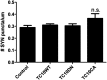 Figure 1—figure supplement 3.