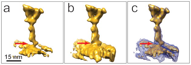 Fig. 5