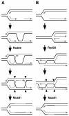 FIG. 8.