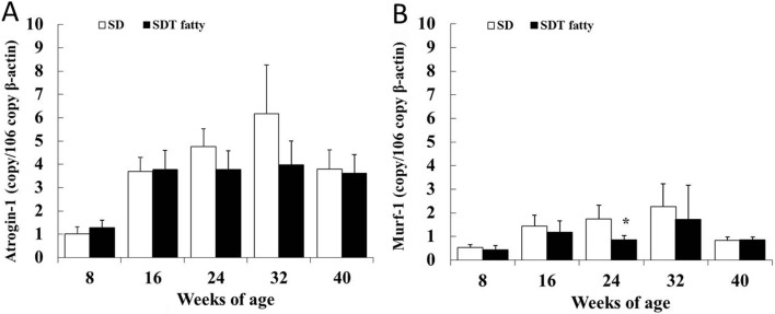 Fig. 9.