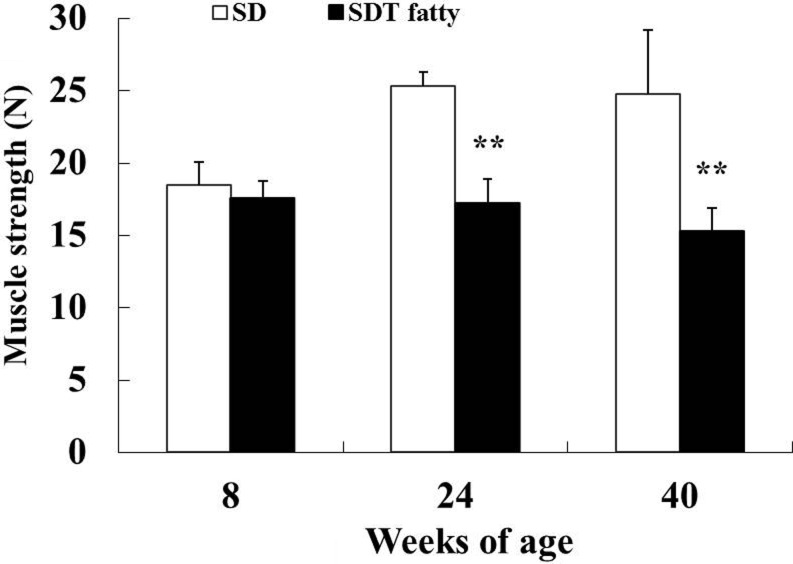 Fig. 10.