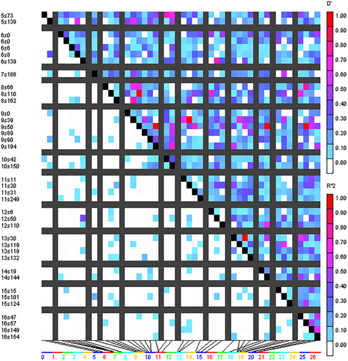 FIGURE 4