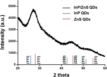 Fig. 2