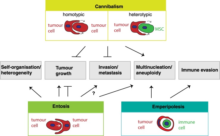 Figure 2.