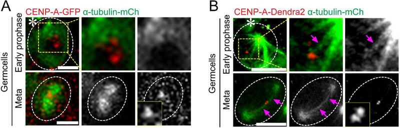 Figure 4: