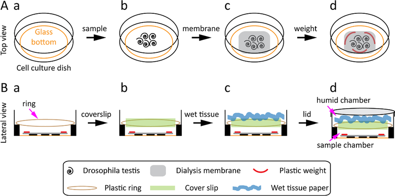 Figure 1: