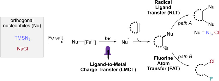graphic file with name d3sc05231a-ga.jpg