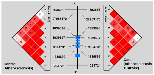 Figures 1a-1e