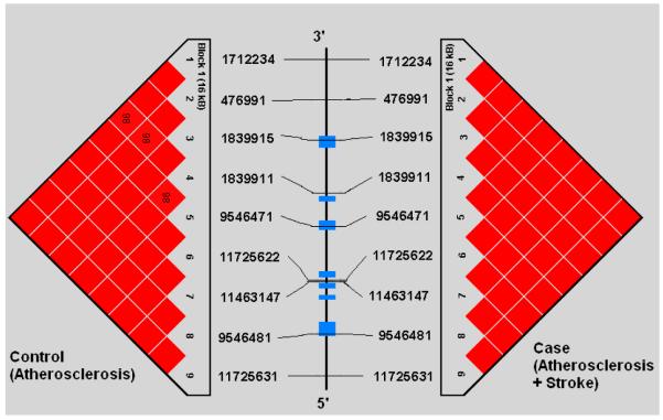 Figures 1a-1e