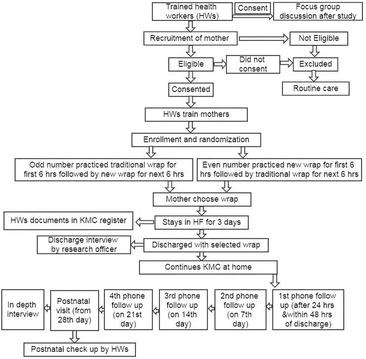 Fig 1