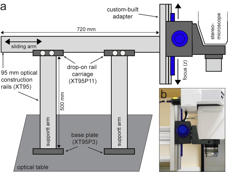 Figure 1—figure supplement 1.