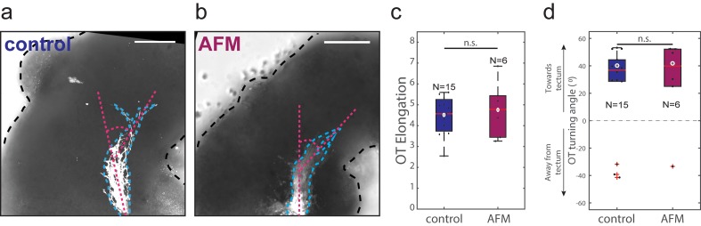 Figure 2—figure supplement 2.