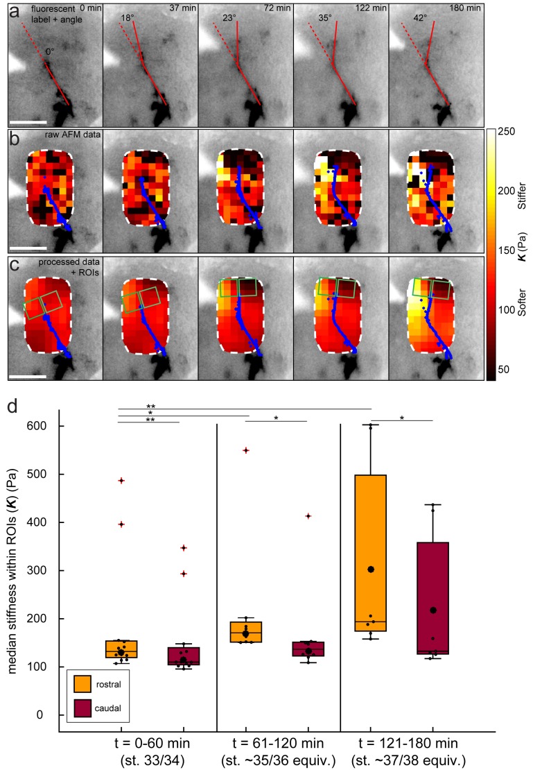 Figure 2—figure supplement 1.