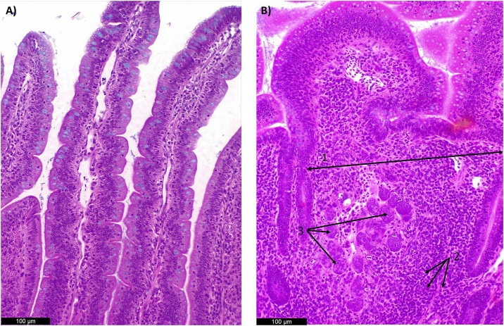 Fig. 9