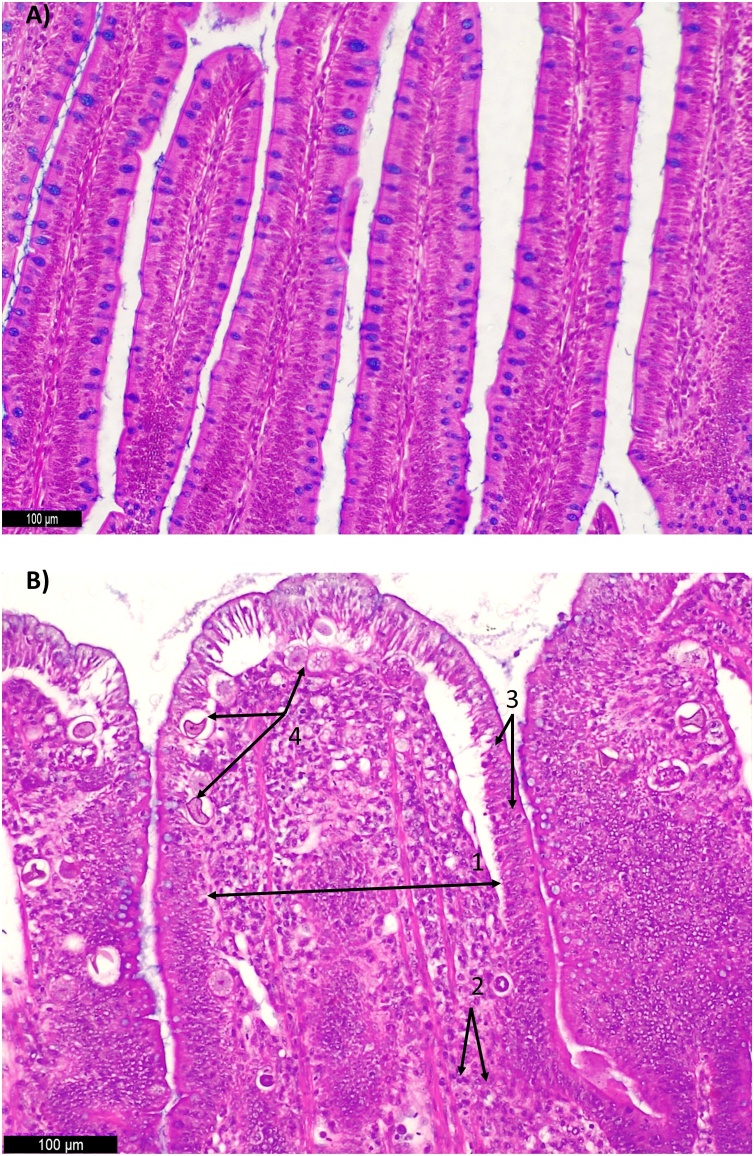 Fig. 7