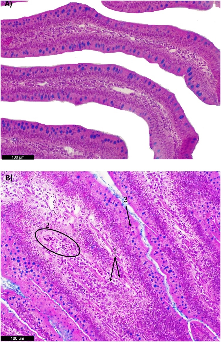 Fig. 6