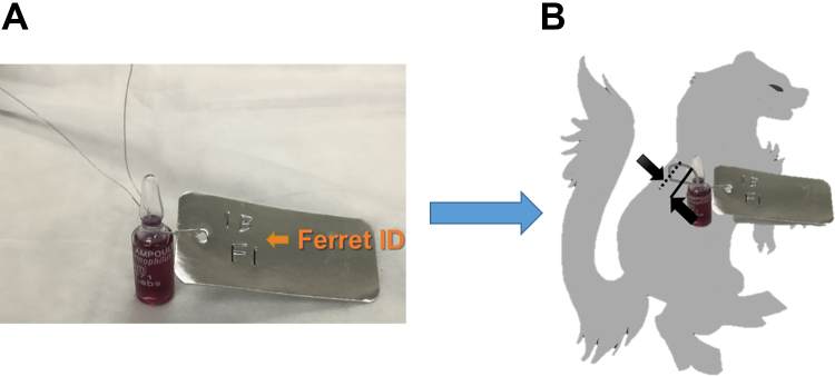 Figure 2.