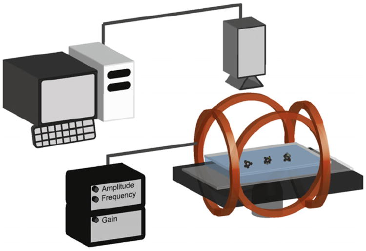 Fig. 2