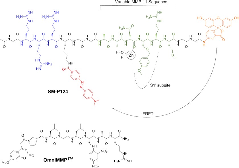 FIGURE 1.