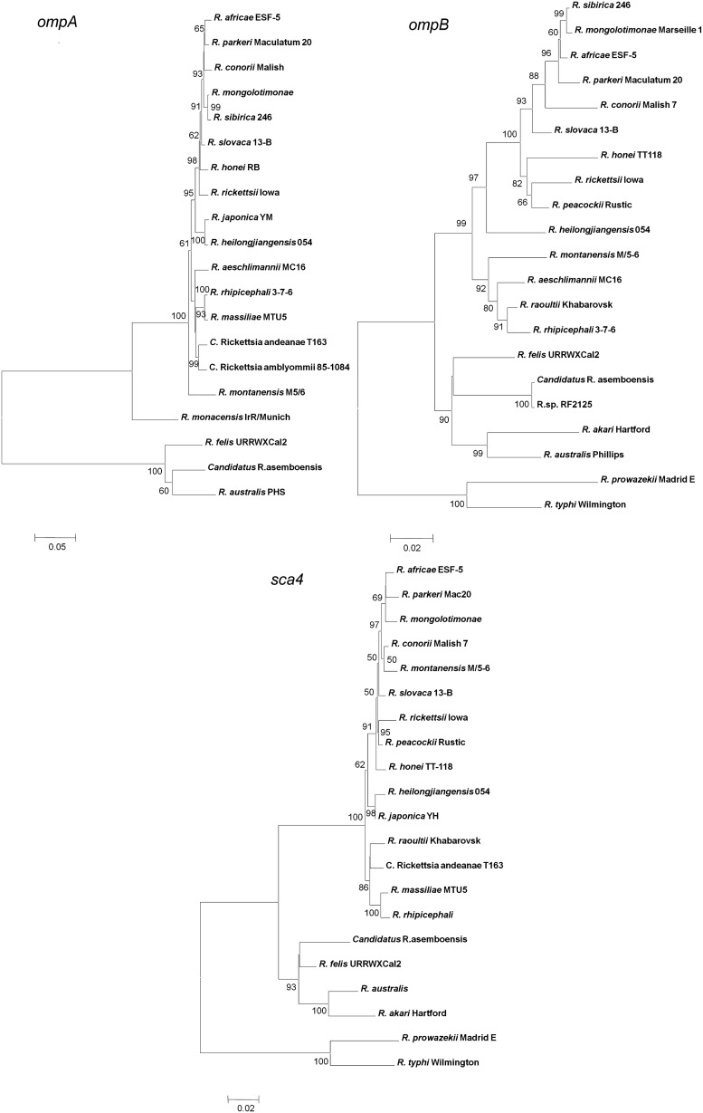 FIG. 1.