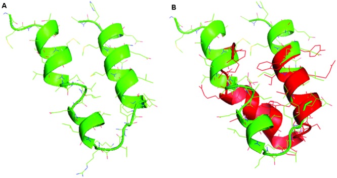 FIGURE 2