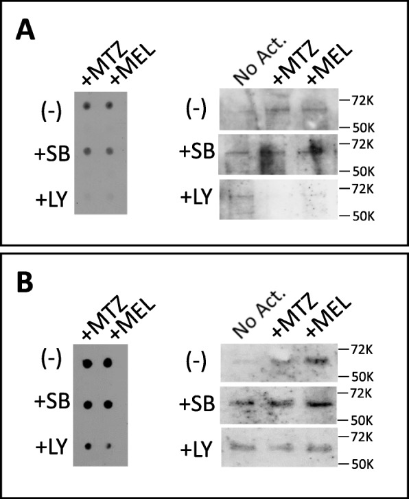 Fig. 12