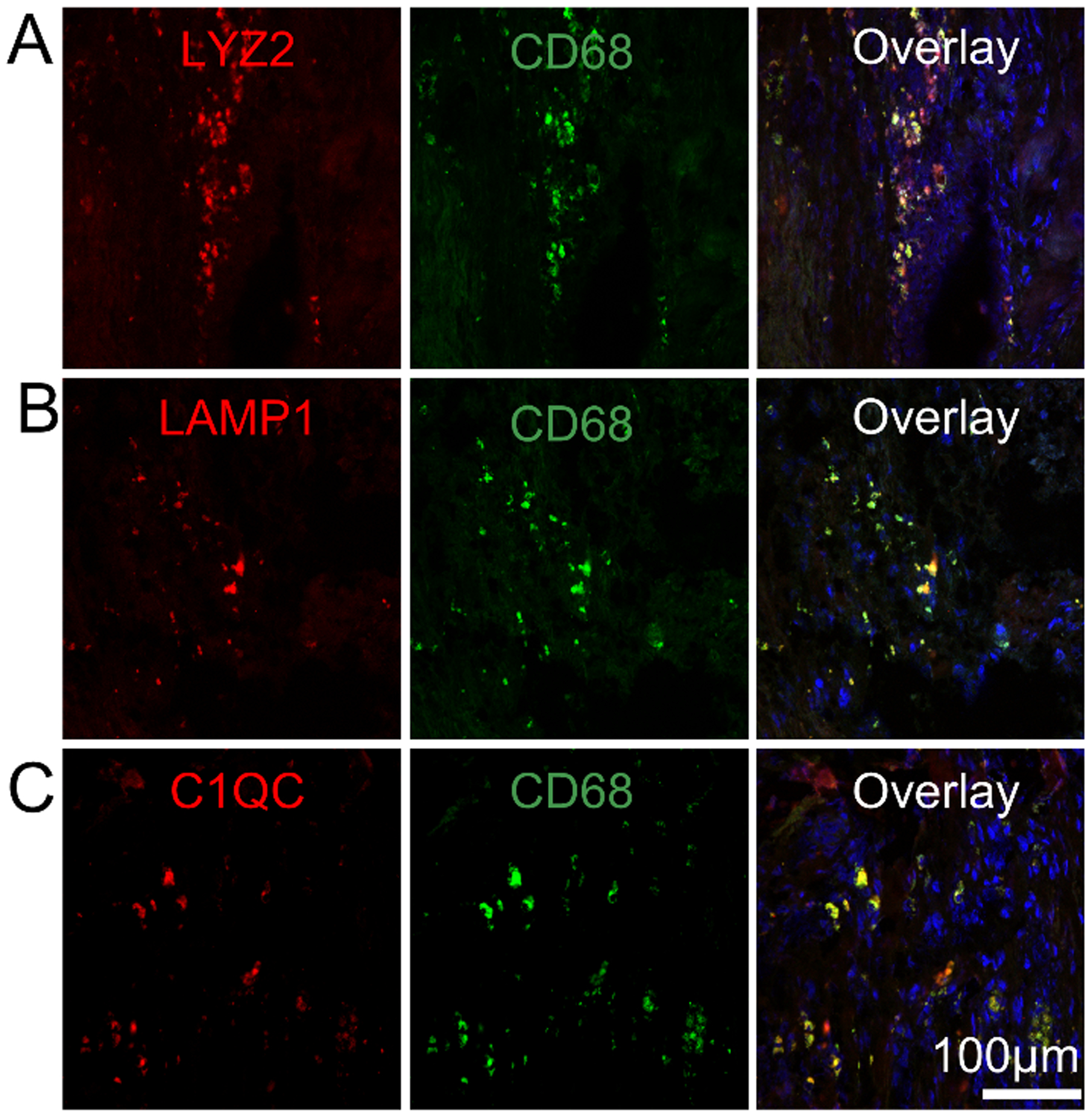 Figure 3.