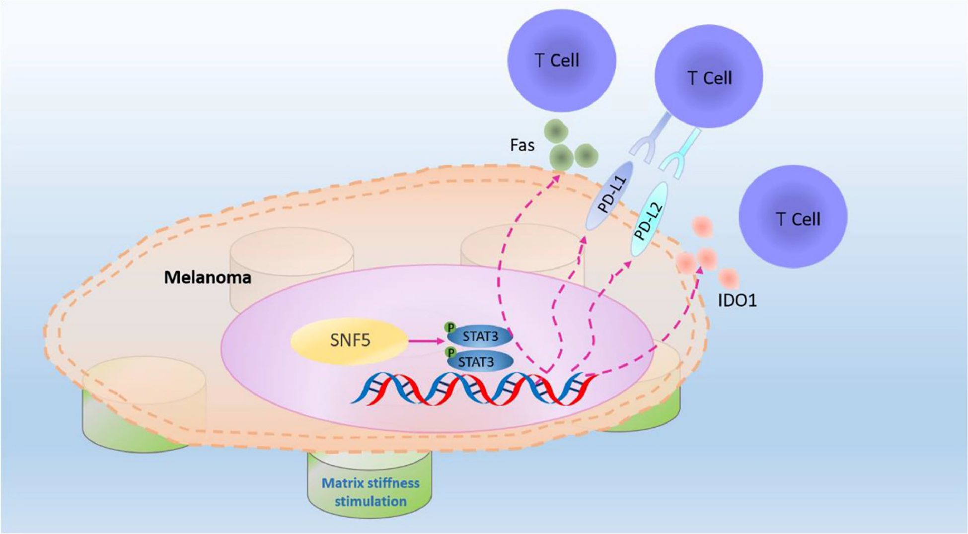 Figure 4: