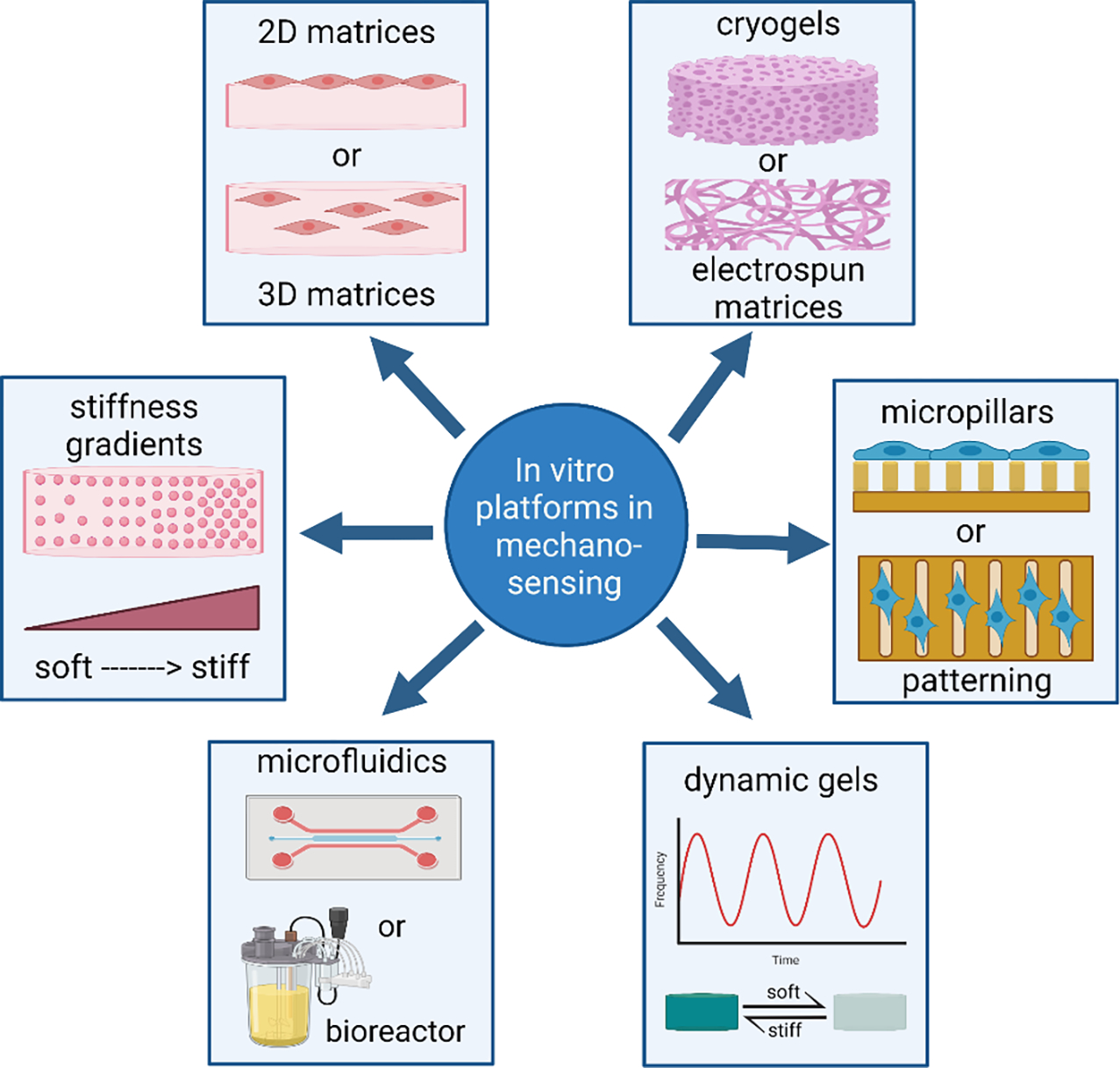 Figure 6: