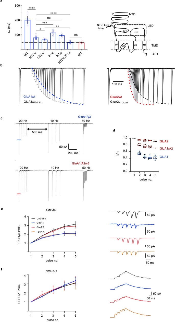 Extended Data Fig. 6