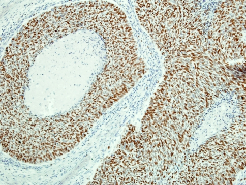 Fig. 5